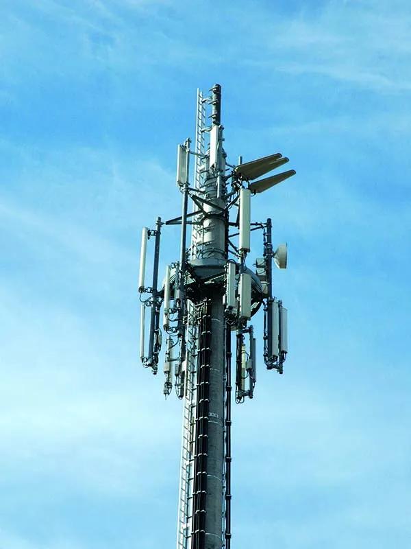 Mast